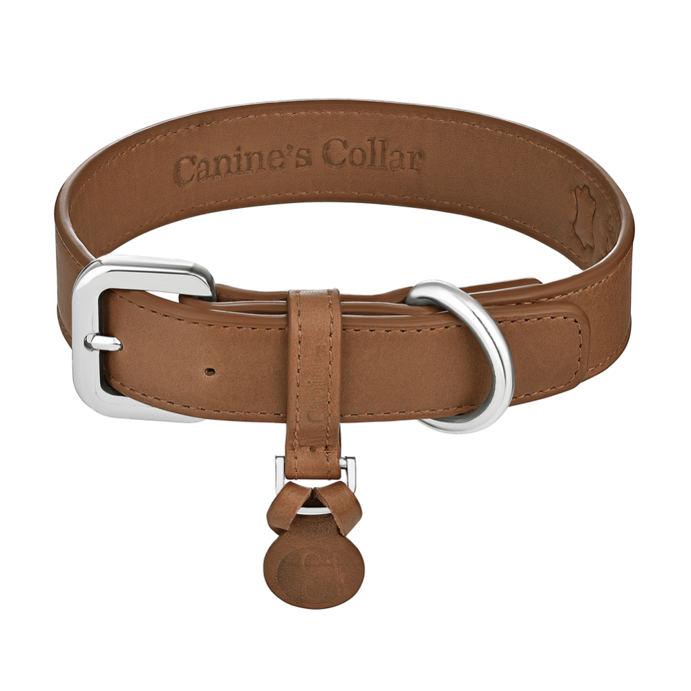 Best Leather Leashes For Dogs