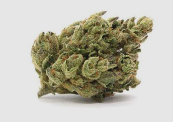 Order Online Vanilla Frosting