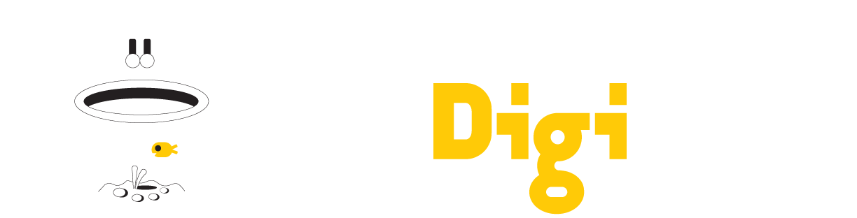 Top & Best Digital Marketing Agency In USA & UK - The Digicat
