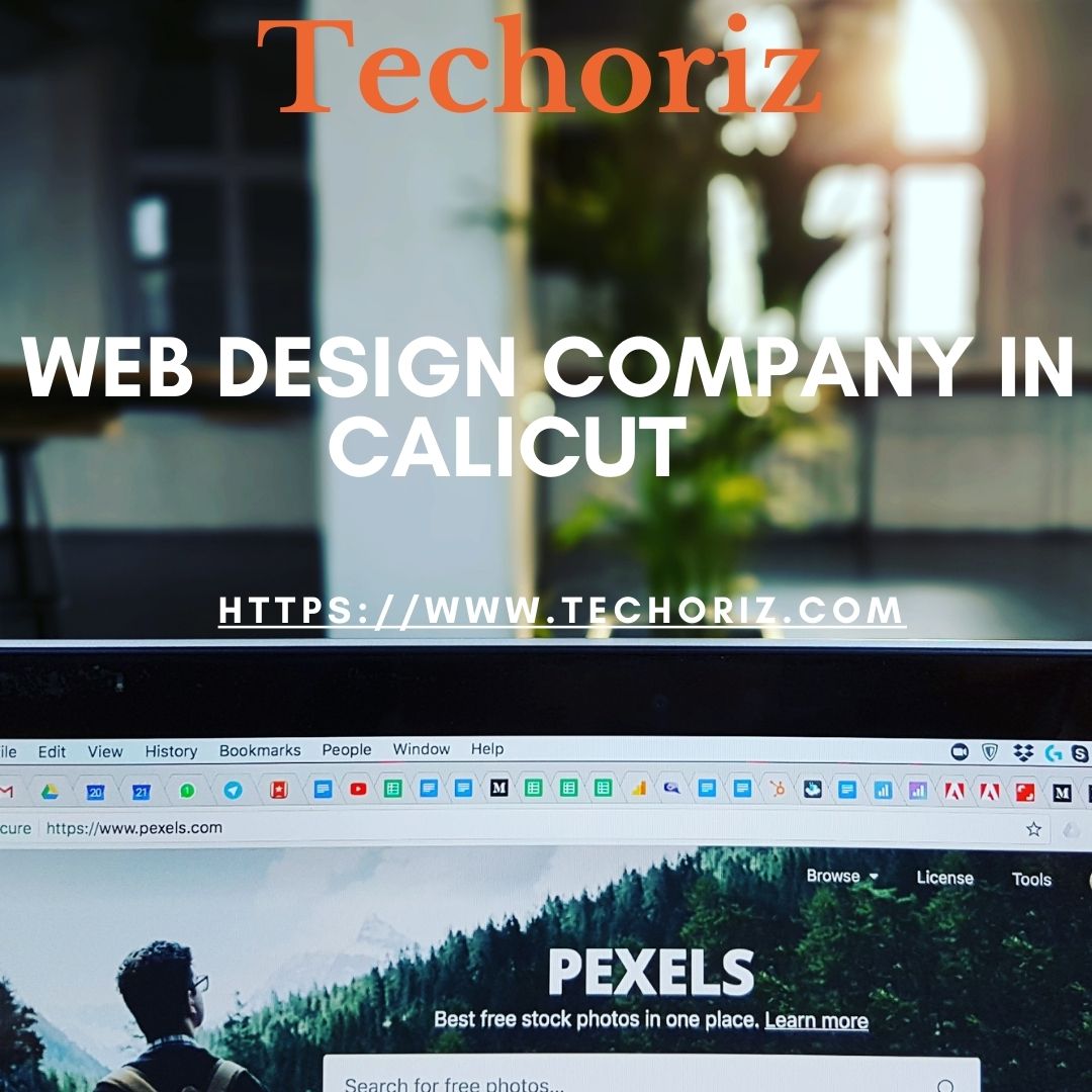 No.1 Web Design Company calicut -Techoriz