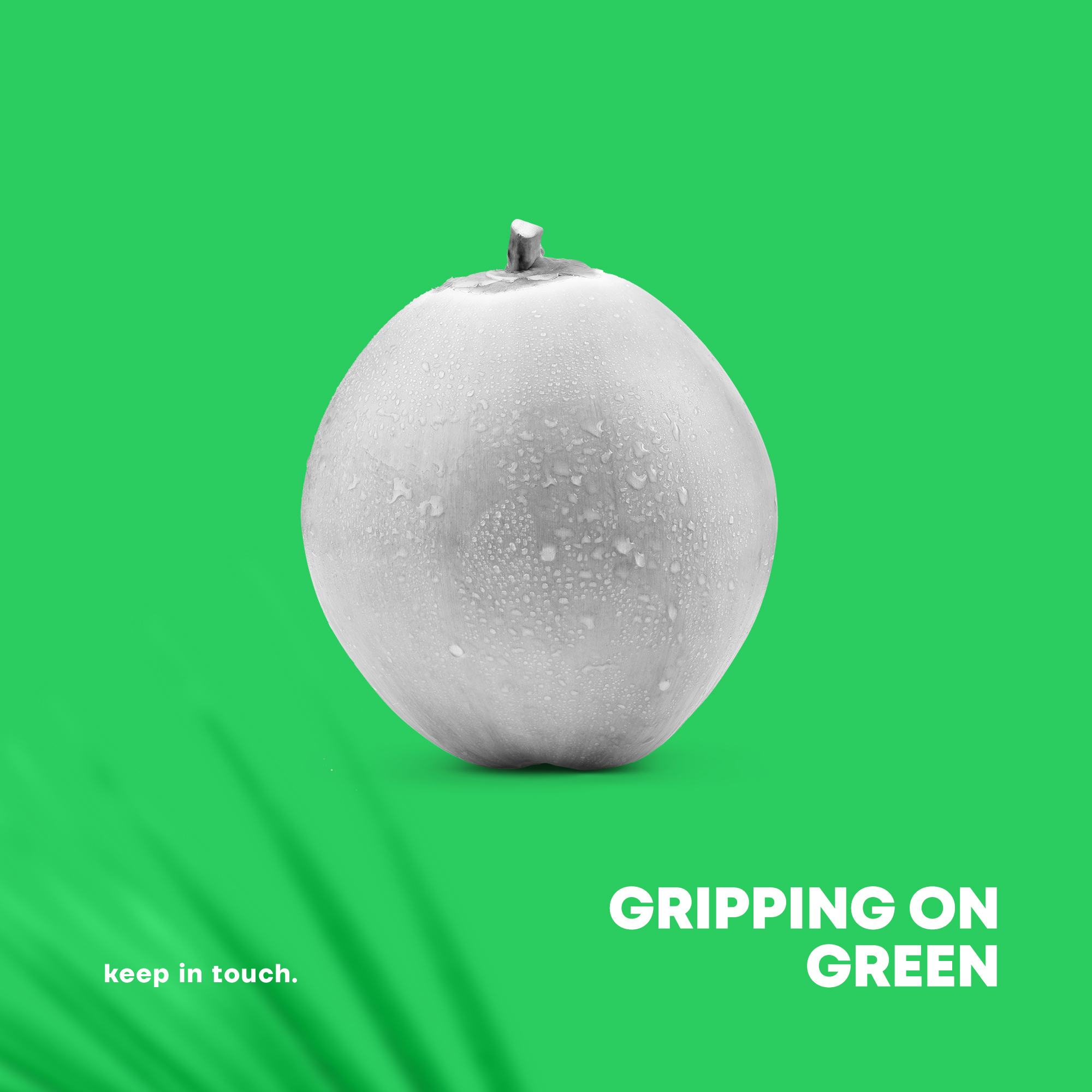 Digital Marketing Agency Calicut