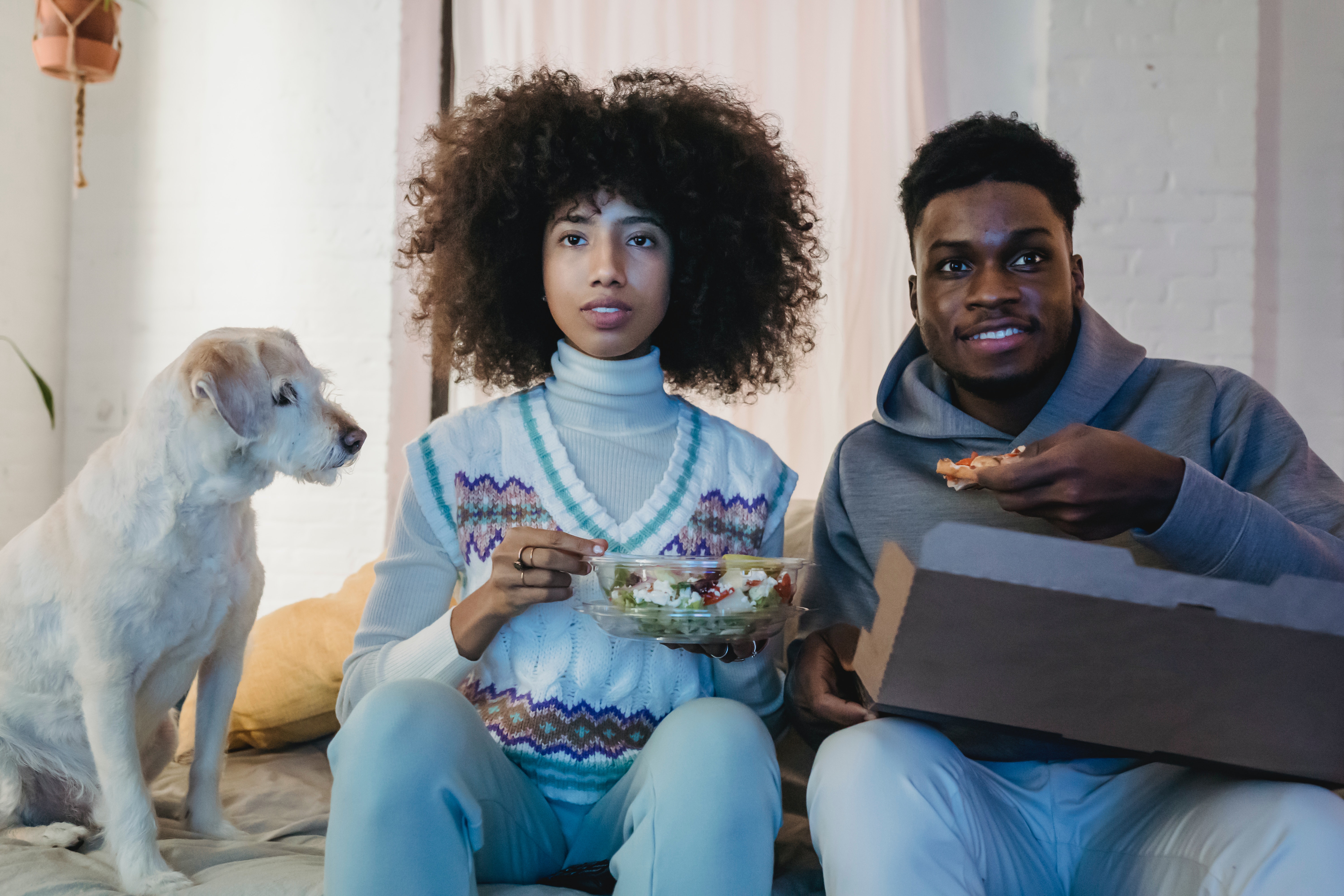 Why Is It Better to Buy Your Pet Food from the Most Popular Pet Shop Online UK?