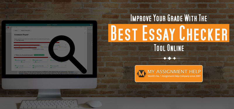Get Personalized Help For Your Essay You Need