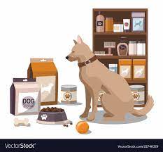 interactive pet toys