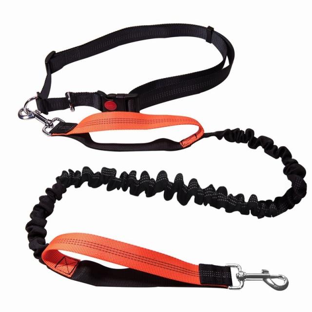 TACTICAL FLEXIBLE DOG LEASH