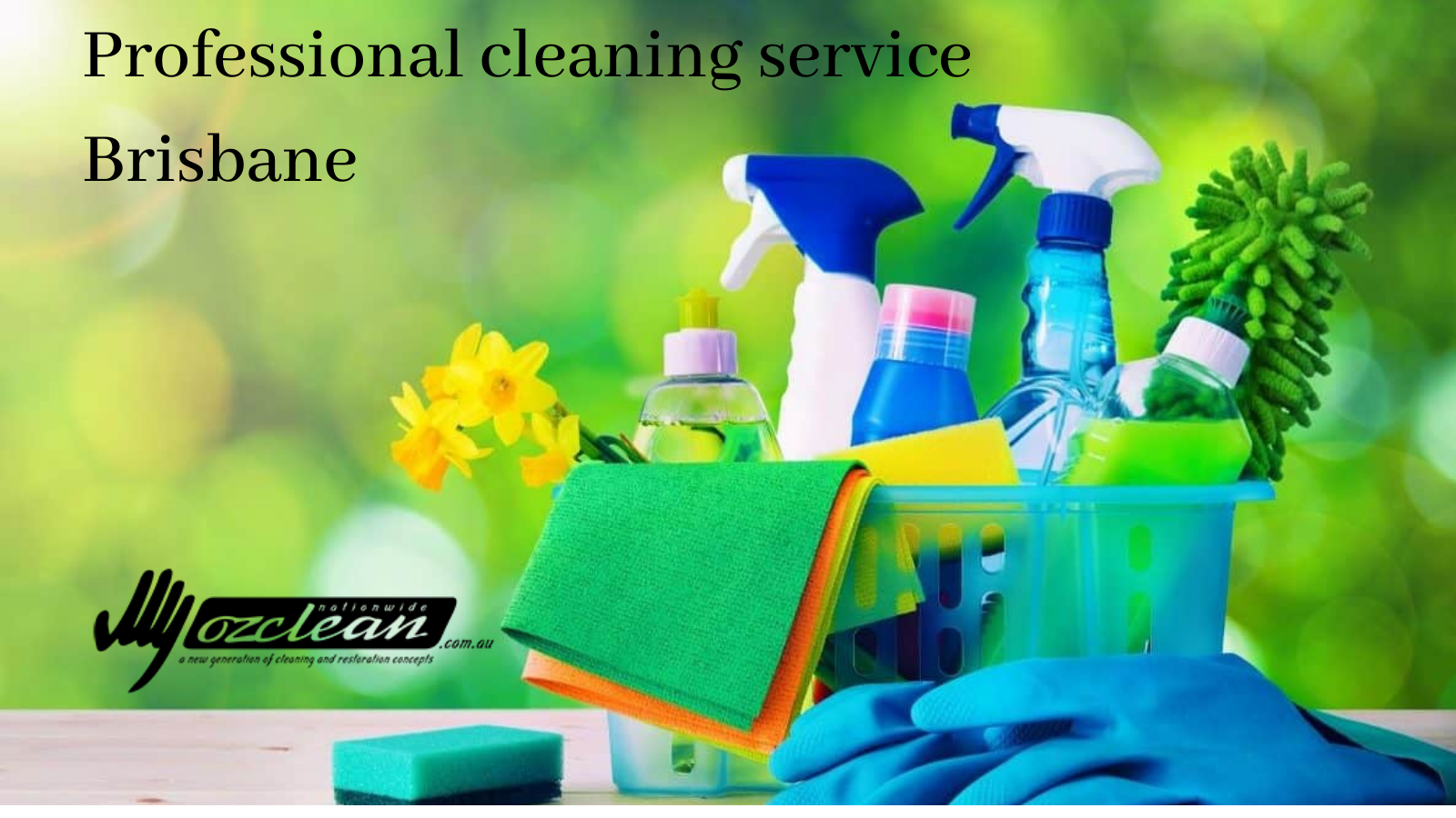 Professional Cleaning Service in Brisbane