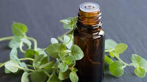 What is the difference between oregano oil and oregano essential oil?