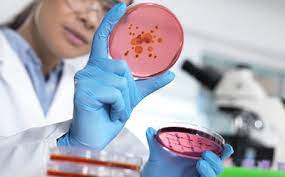 Global Bioburden Testing Market Report, Latest Trends, Industry Opportunity & Forecast to 2027