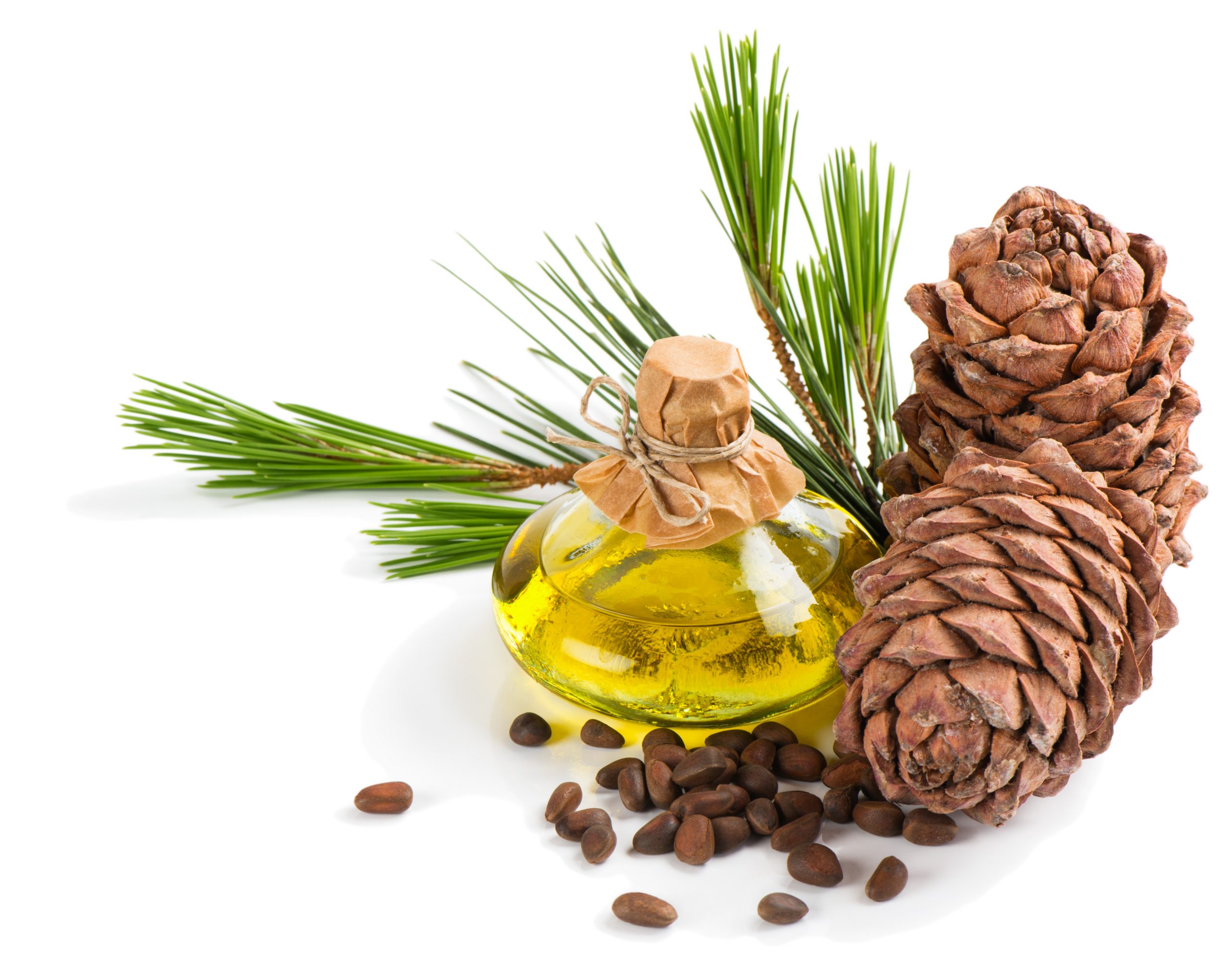 Crude Tall Oil Market 2022 | Industry Demand, Fastest Growth, Opportunities Analysis and Forecast To 2028