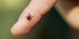 Global Tick Repellent Market 2021: COVID-19 Impact Analysis and Industry Forecast Report, 2027