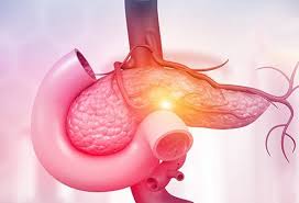 Exocrine Pancreatic Insufficiency Market Size, Status, Growth | Industry Analysis Report 2020-2027
