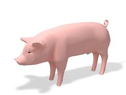 Pig Animal Model Market Size, Key Players Analysis And Forecast To 2027 | Value Market Research