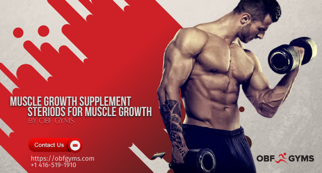 How does muscle grow in the body?
