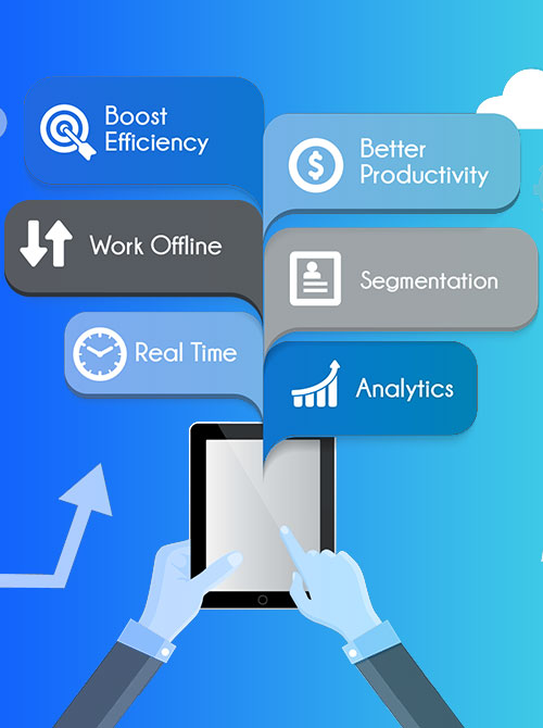 CRM  Development Solution