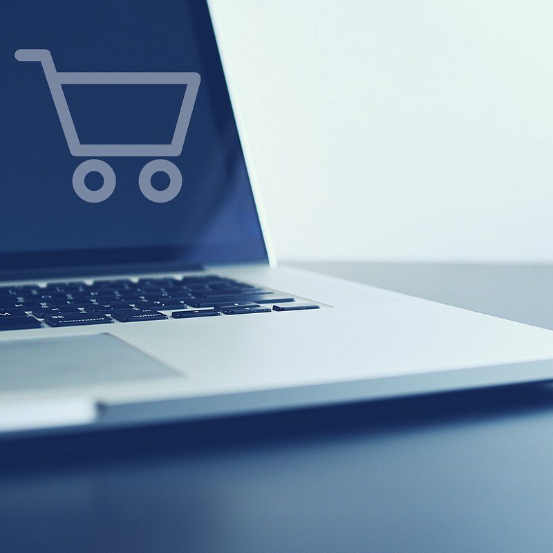 How does eCommerce website development assist in Small Business Growth?