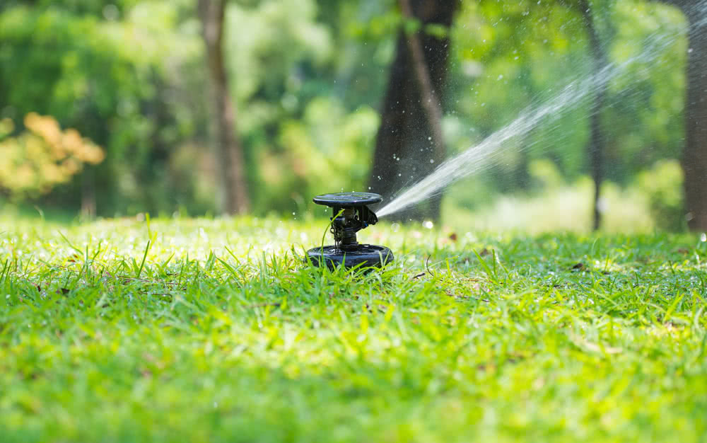 This Is Why You Should Think About Getting Lawn Care Maintenance Done