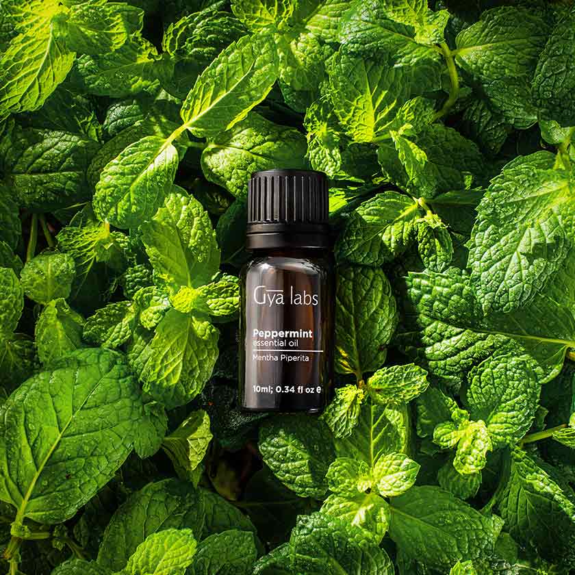  Unlock the Power of Peppermint Essential Oil: Finding the Best Peppermint Essential Oil Near You.!!