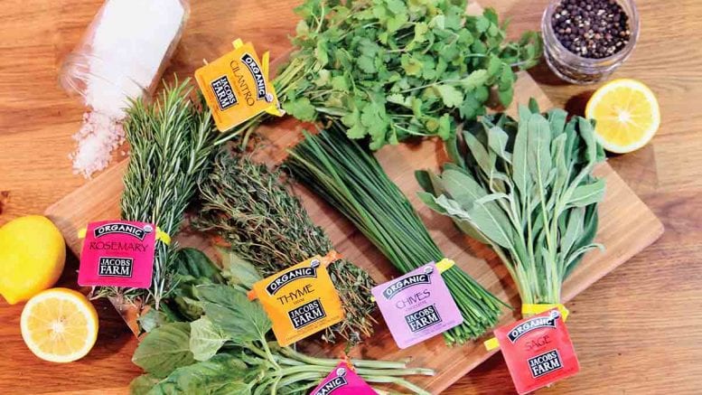 Diabetes Medications - Diabetes Home Remedies