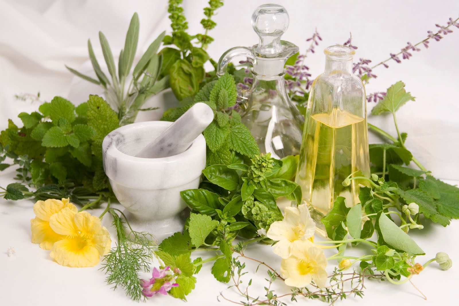 Joint Care - Natural Herbs For Joint Pain