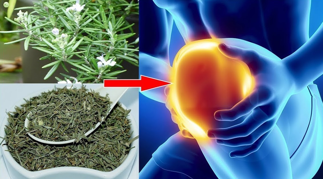 Joint Care - Natural Herbs For Joint Pain
