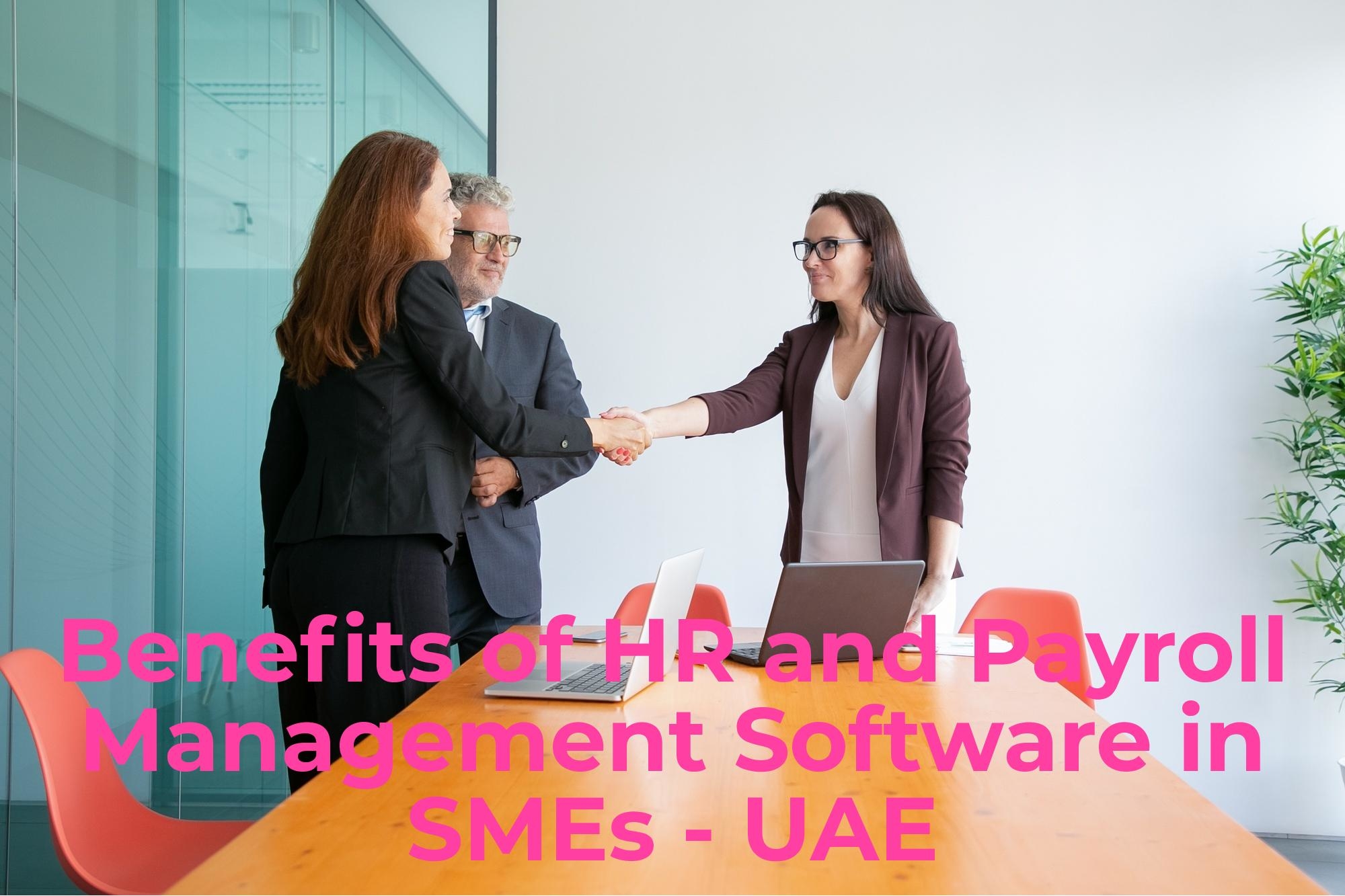 Benefits of HR and Payroll Management Software in SMEs - UAE