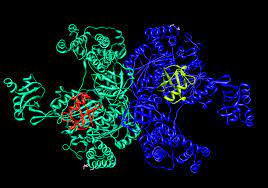 Ubiquitin Enzymes Market 2021 | Industry Demand, Fastest Growth, Opportunities Analysis and Forecast To 2027