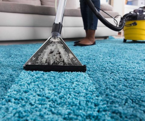 Professional Carpet Cleaning or DIY; What Is Better?
