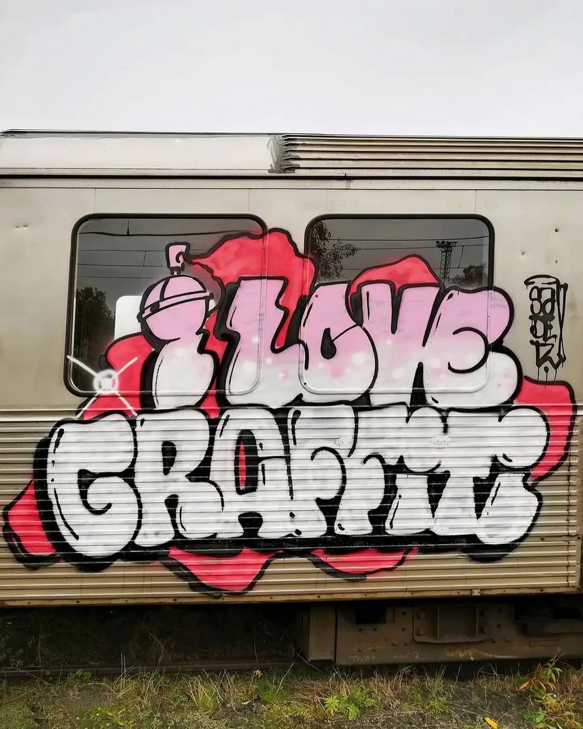 Qraffiti Spray Paint