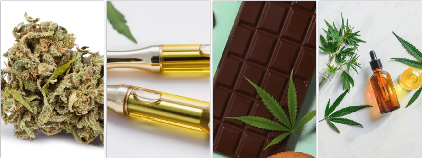 Benefits of CBD Flower Plants