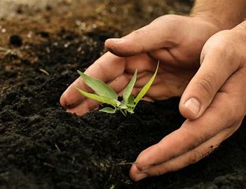 Global Soil Treatment Market 2021 Analysis Report by Recent Developments and Emerging Technologies Till 2027