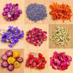 Dried Flowers Market Trends Analysis, Demand and Forecasts 2028
