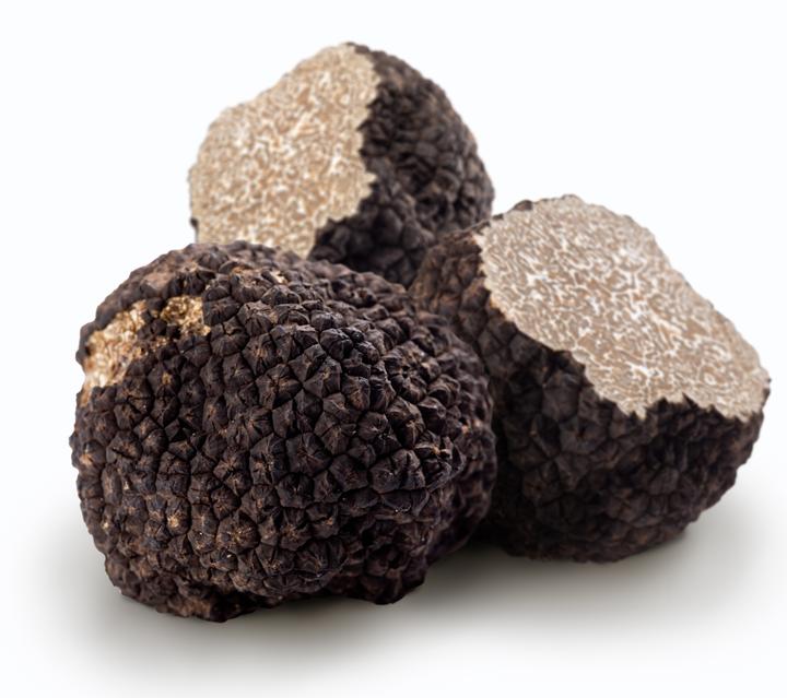 Buy Black Truffle Online