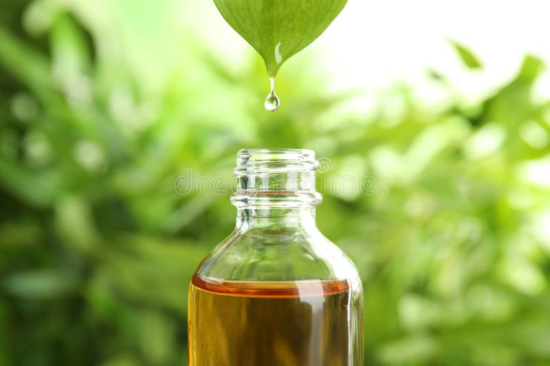 The goodness of ayurvedic medicine and ayurvedic products