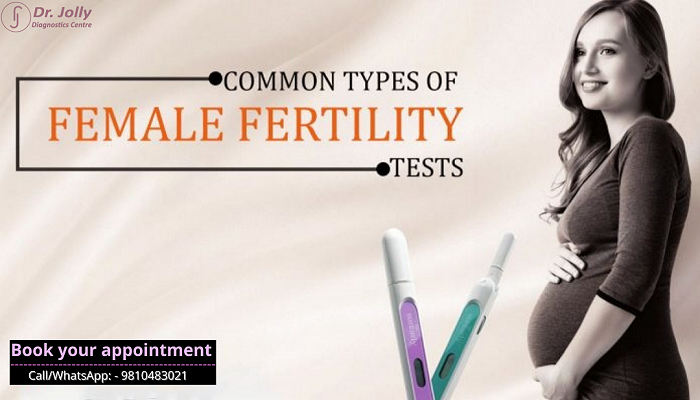 Fertility Testing & Diagnosis for Women, Ultrasound Imaging