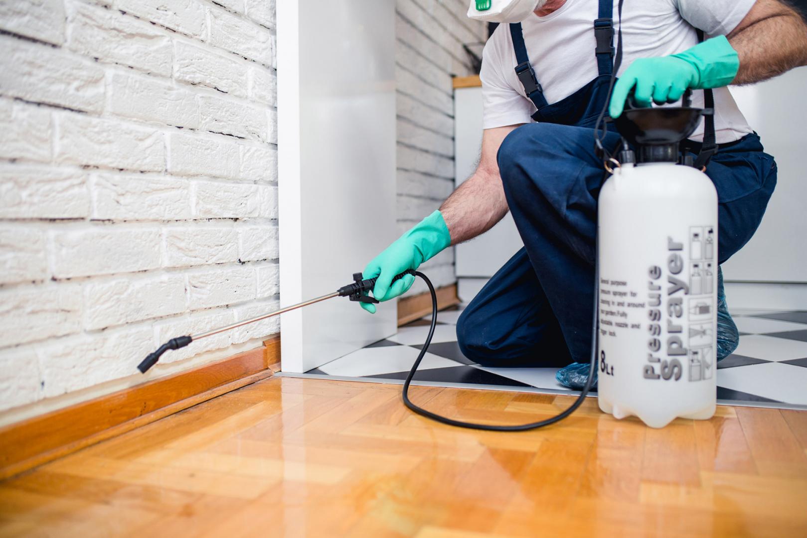 Pest control in Broward county