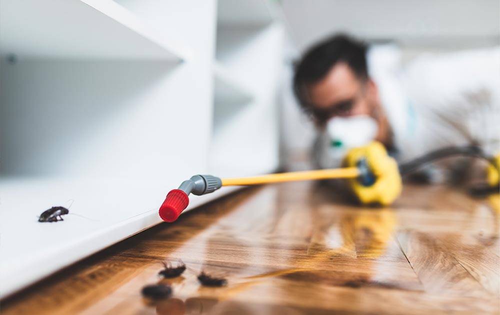 Pest company in Broward county