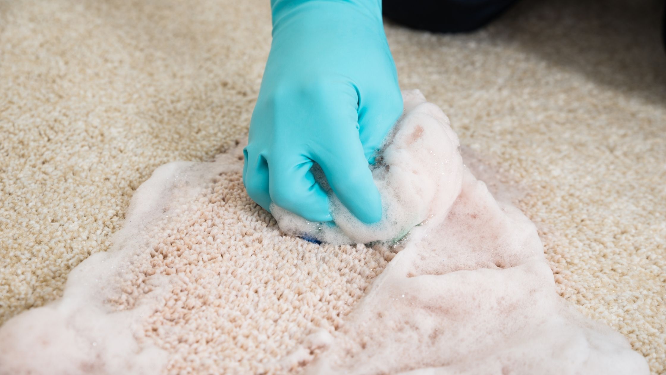 What is the cost of a carpet cleaning service?