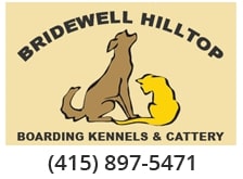 Dog Boarding Kennels Near Novato