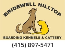 Dog Boarding Near Novato