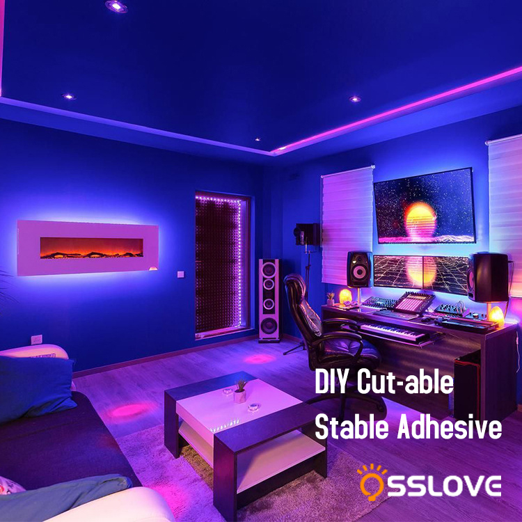 RGB Led Strip Lights