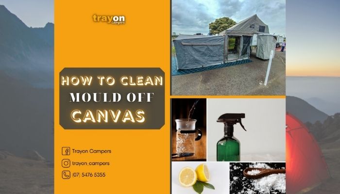 How To Clean Mould Off Canvas