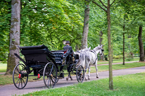 Relive Central Park's Magic with Horse and Carriage Tours
