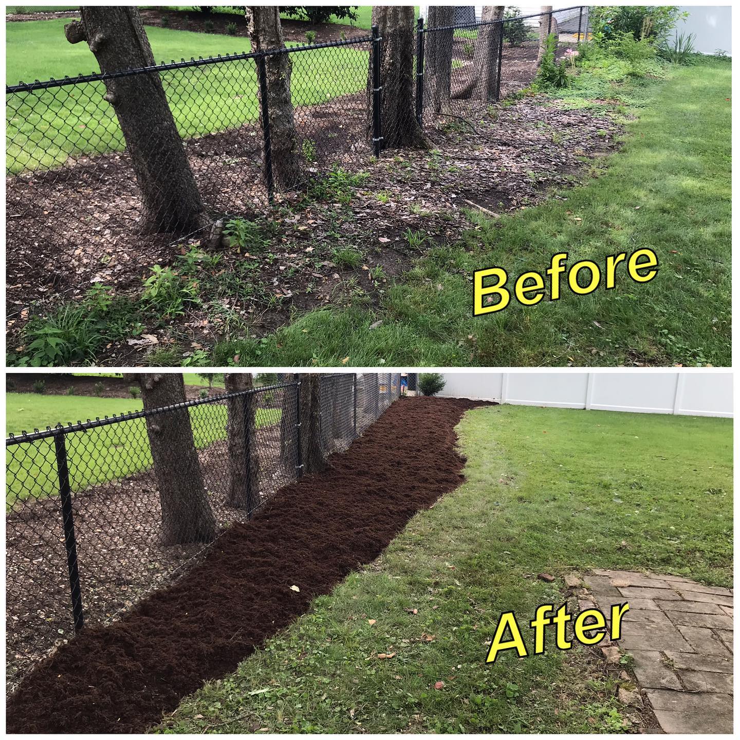 When is the best time to install sod?