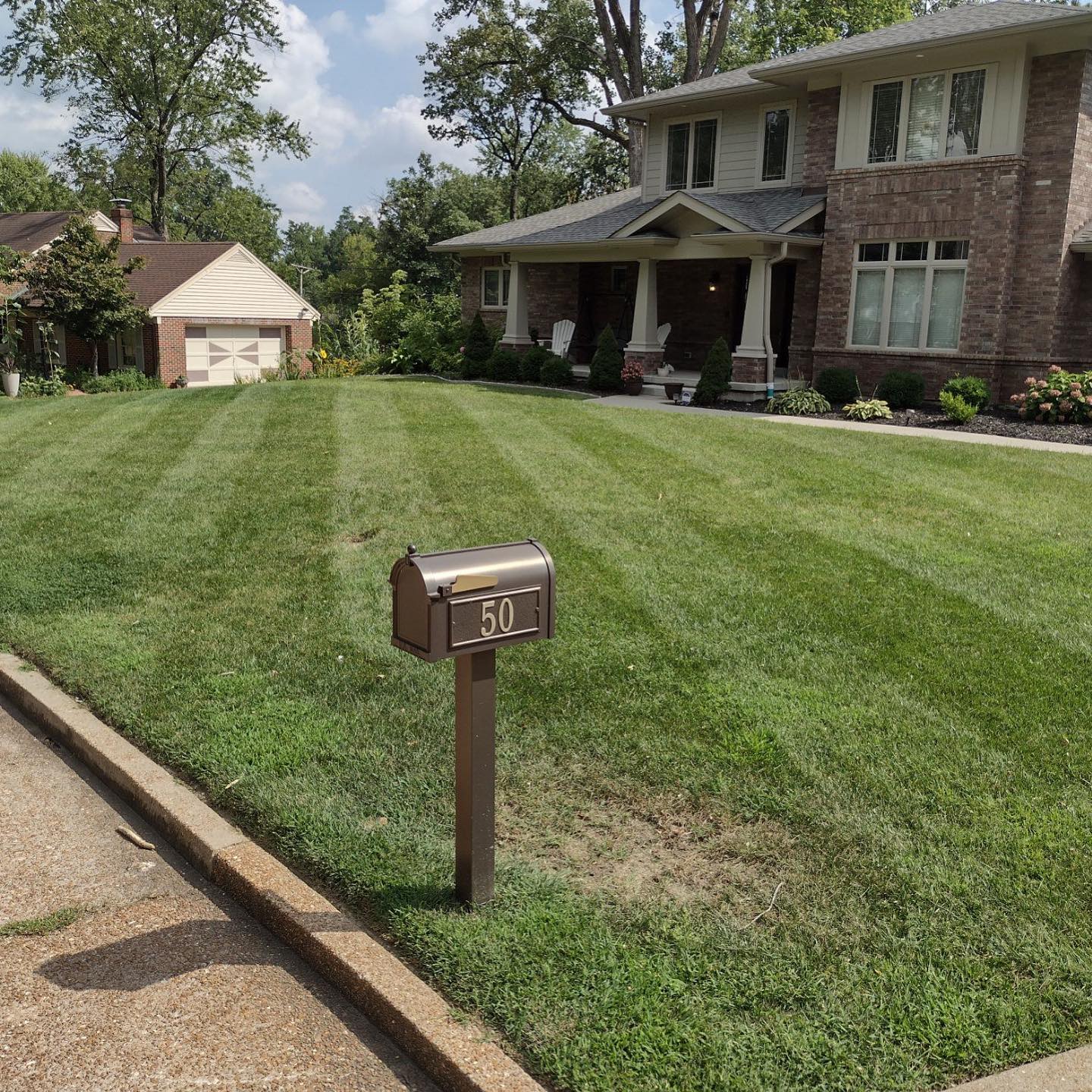 Is organic fertilizer better?