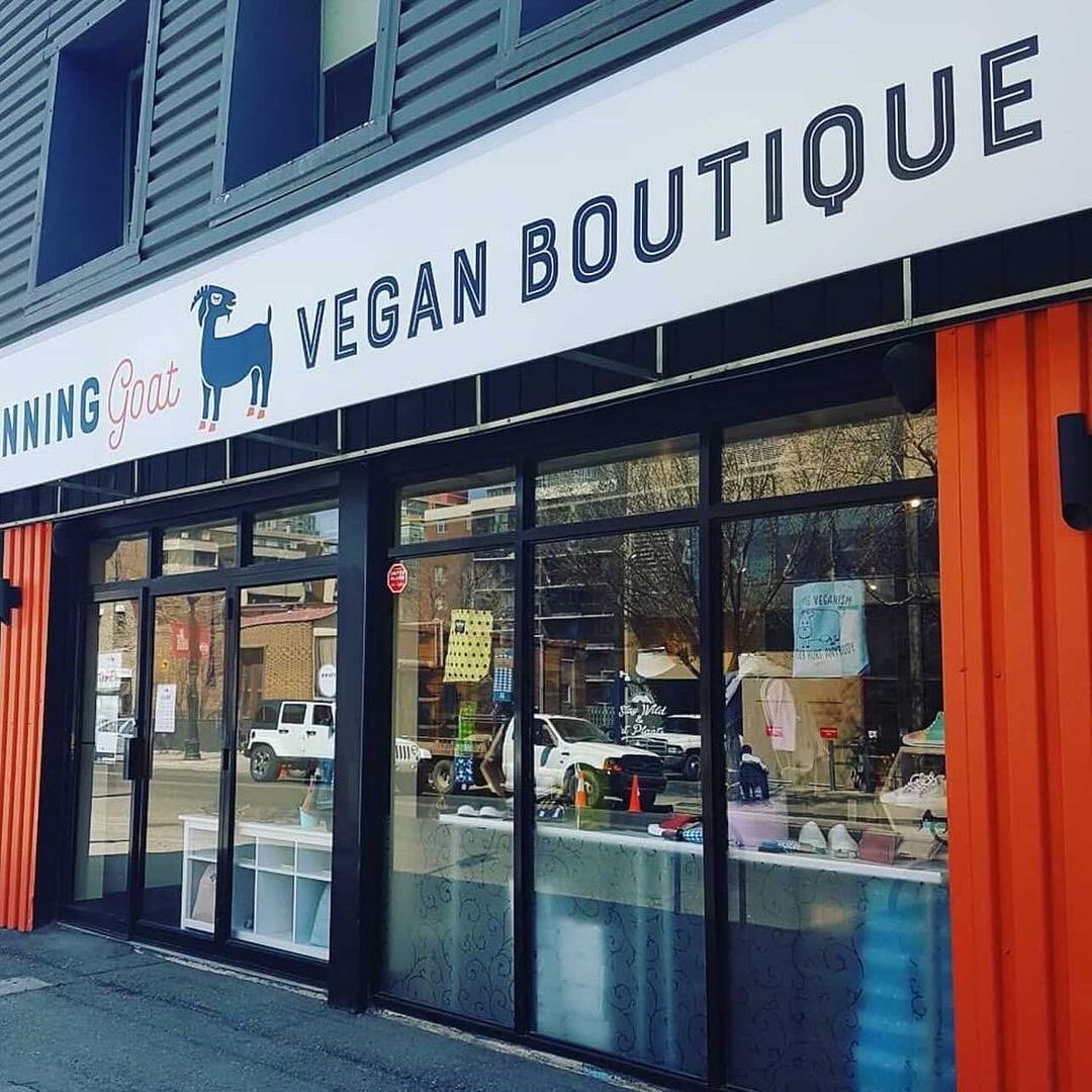 Vegan Shoes Canada