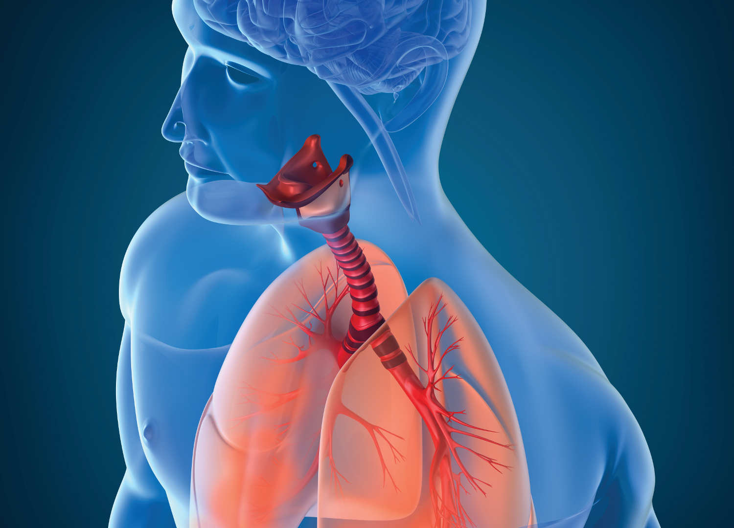 Interventional Pulmonology Market Size, Status, Growth | Industry Analysis Report 2020-2028
