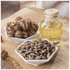 Castor Oil Market 2022 Size, Share & Forecast Report to 2028