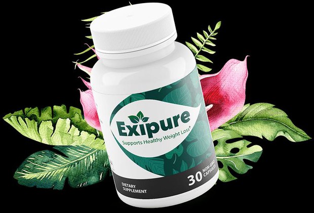 Exipure Reviews: Does It Exipure Really Work?