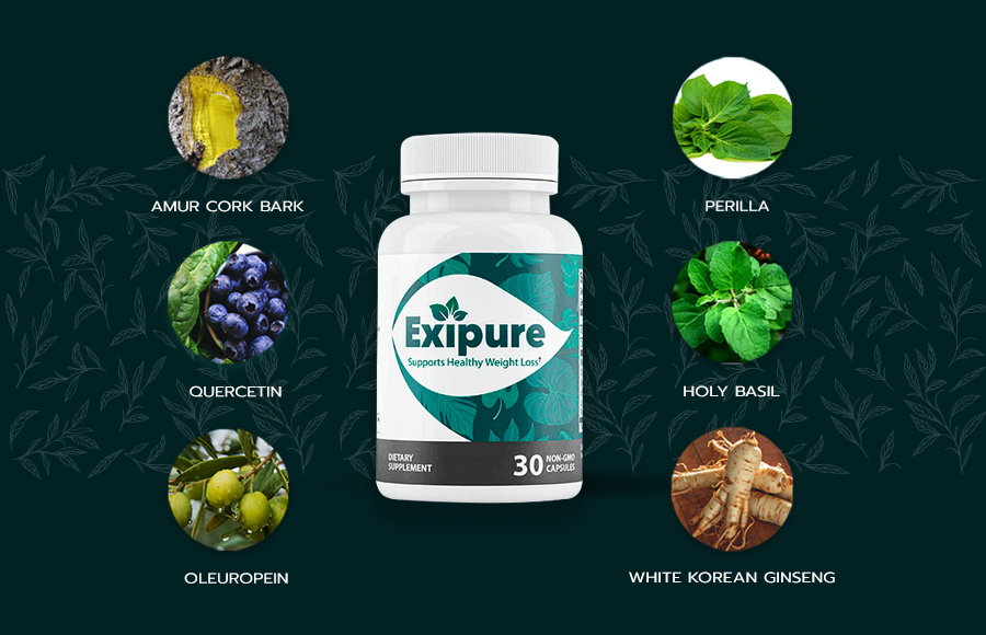 Exipure Reviews 2022: Shocking Report Reveals Must Read Before Buying