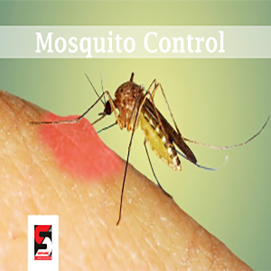 Pest Control Services in Thane- Sadguru Pest Control